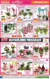 Norma Prospekt woche 19 Seite 16
