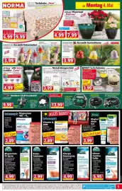 Norma Prospekt woche 19 Seite 5