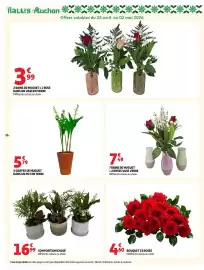 Auchan folder Pagina 36