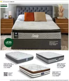 Catálogo Coppel Página 22