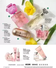 Catálogo Coppel Página 6