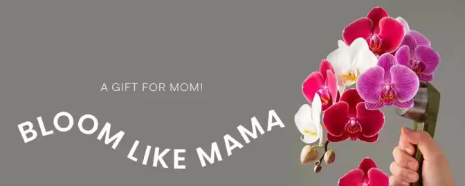 Catálogo Milano Bags Página 1