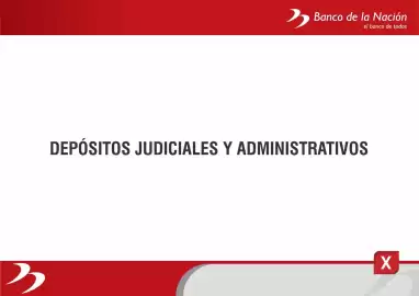Catálogo Banco de la Nación Página 95
