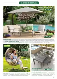 Volantino Viridea Pagina 13