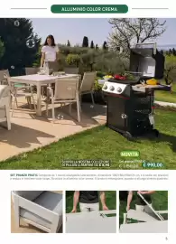 Volantino Viridea Pagina 5
