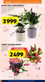 ALDI akciós újság hét 18 Oldal 22