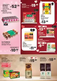 Catálogo Vega Página 6