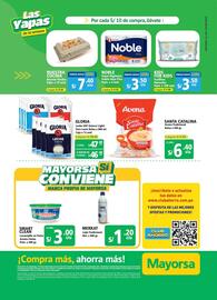 Catálogo Mayorsa Página 2