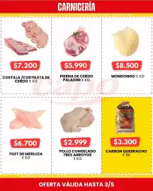 Catálogo Autoservicio Capo Página 3