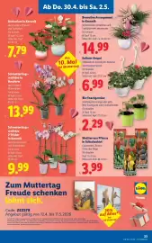 Lidl Flugblatt woche 18 Seite 27