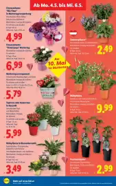 Lidl Flugblatt woche 18 Seite 29
