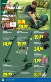 Lidl Flugblatt woche 18 Seite 31