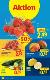 Lidl Flugblatt woche 18 Seite 37