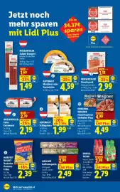 Lidl Flugblatt woche 18 Seite 41