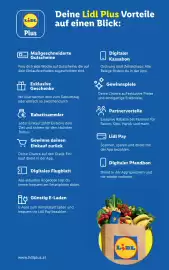 Lidl Flugblatt woche 18 Seite 47