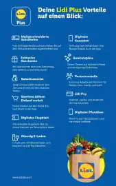 Lidl Flugblatt woche 18 Seite 47
