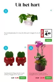 Intratuin folder week 18 Pagina 2