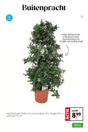 Intratuin folder week 18 Pagina 3