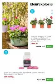 Intratuin folder week 18 Pagina 4