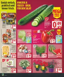 Edeka DE folder week 18 Pagina 2