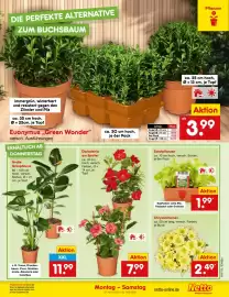 Netto Marken-Discount DE folder week 18 Pagina 11
