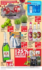 Kaufland DE tilbudsavis uge 17 Side 8