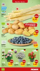 PENNY DE folder week 18 Pagina 3