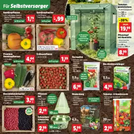 Thomas Philipps folder week 18 Pagina 3