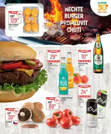 Globus leták Strana 7