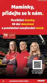 Penny Market leták týden 18 Strana 25
