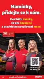 Penny Market leták týden 18 Strana 25