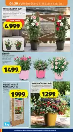 ALDI akciós újság hét 18 Oldal 8