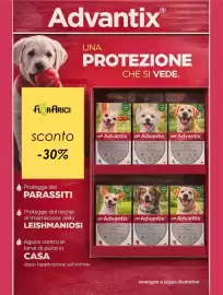 Volantino Florarici Pagina 2