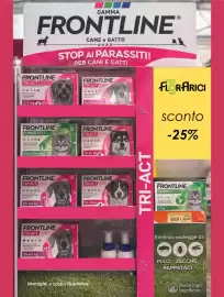 Volantino Florarici Pagina 3