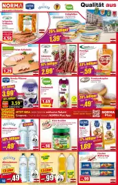 Norma Prospekt woche 19 Seite 10