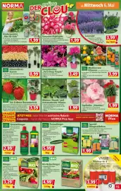 Norma Prospekt woche 19 Seite 15