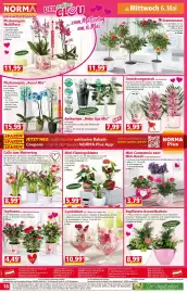Norma Prospekt woche 19 Seite 16