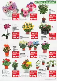 Kaufland leták týden 18 Strana 13