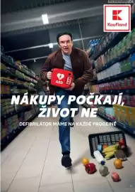 Kaufland leták týden 18 Strana 63
