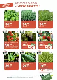 Catalogue Ma Jardinerie page 4