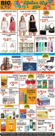 Big Lots weekly ad Page 3