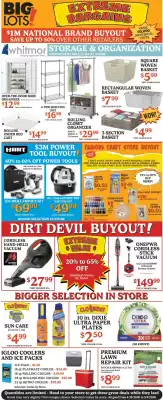 Big Lots (valid until 9-05)