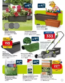 Mrówka gazetka Strona 3