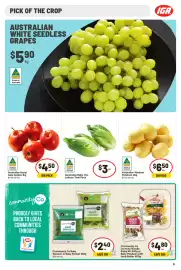 IGA catalogue week 18 Page 11