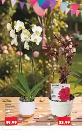 Catalog Kaufland săptămâna 18 Pagină 4