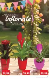 Catalog Kaufland săptămâna 18 Pagină 5