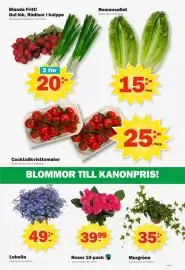 Pekås reklamblad vecka 18 Sida 7