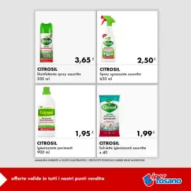 Volantino Iper Tosano settimana 18 Pagina 13