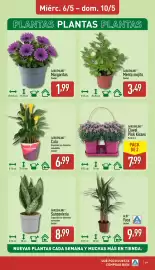 Folleto ALDI semana 19 Página 19