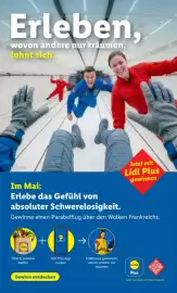 Lidl Flugblatt Seite 1